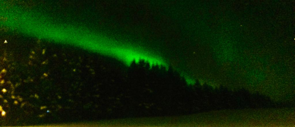aurora-alanko.jpg