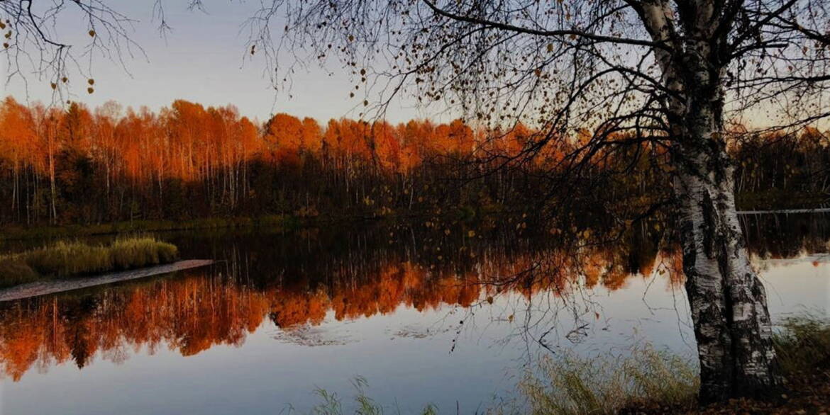 background_20.jpg