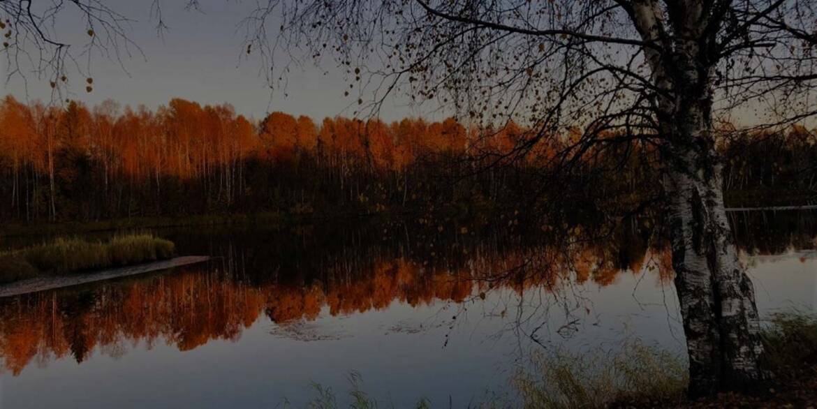 background_50.jpg