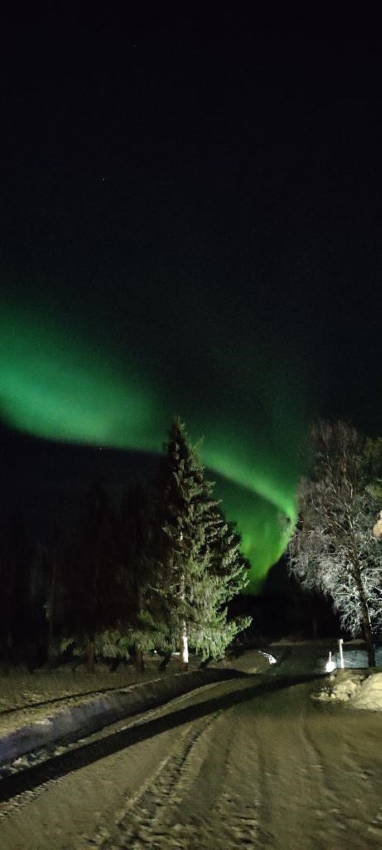 Aurora_II.jpg