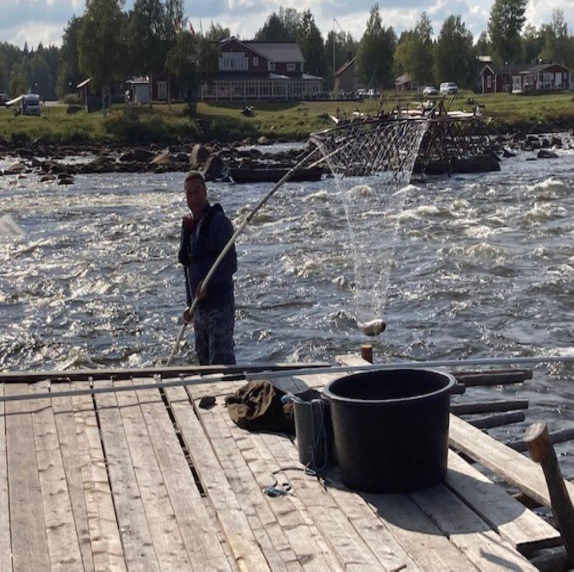 Catch-the-whitefish.jpg