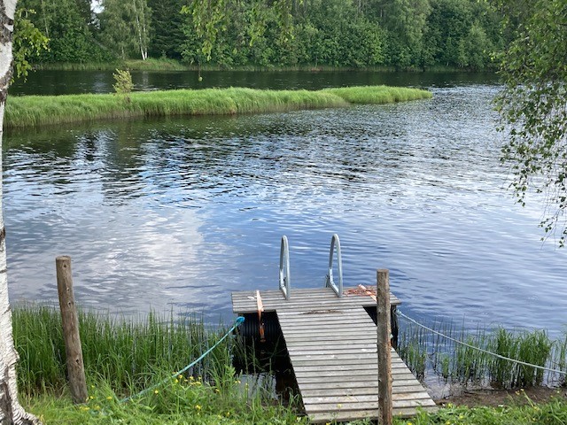 Laituri