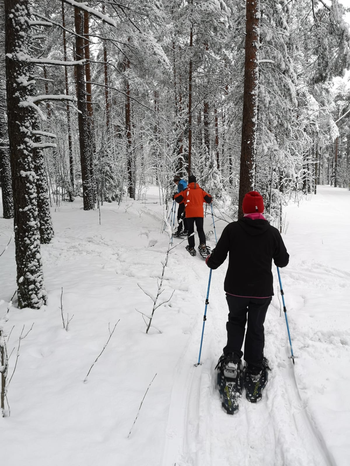 Snowshoeing_Tour